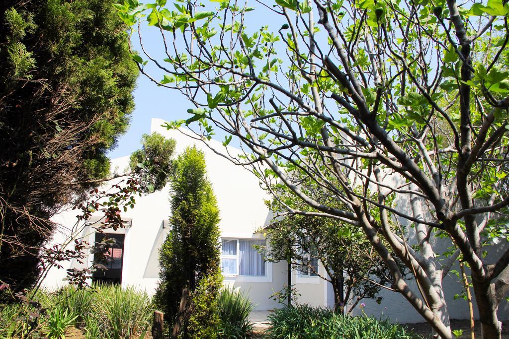 La Coscello Guest House エデンベール エクステリア 写真